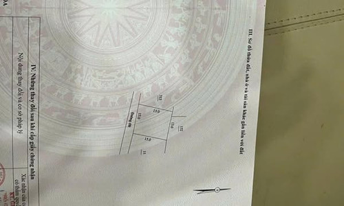 469096096 2562957917427290 2757659316791178133 n.jpg