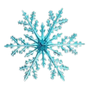 image 2024 12 03 165244293.png
