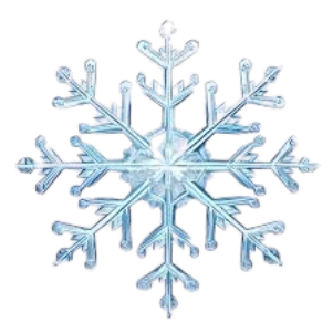 image 2024 12 03 162830103.png