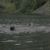 Speak.No.Evil.2024.2160p.WEB DL.CZ EN.TrueHD.7.1.DV.HDR.H.265 XEBEC.mkv snapshot 00.26.25 [2024.12.0