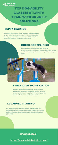 Top Dog Agility Classes Atlanta Train with Solid K9 Solutions.jpg
