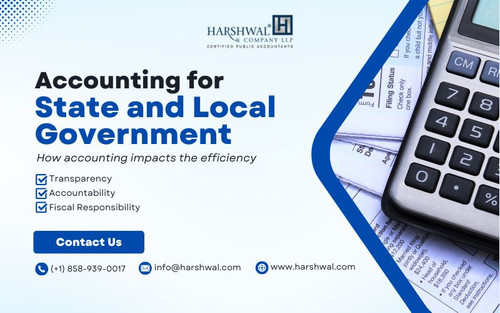 accounting for State and Local Government HCLLP.jpg