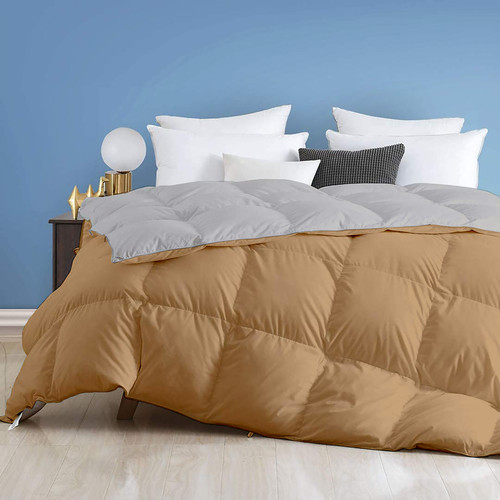 Beige Silver (1).jpg