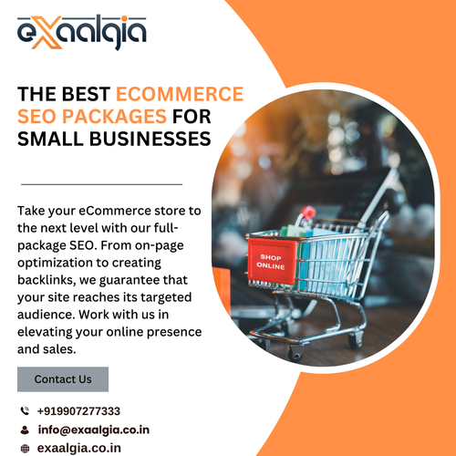 The Best eCommerce SEO Packages for Small Businesses.png