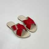 WhatsApp Image 2024 12 05 at 11.11.11