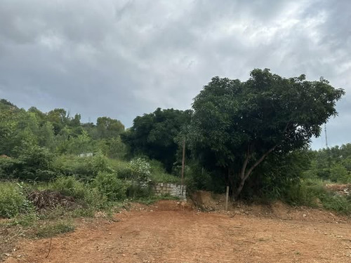 468898599 585284040764066 5928849374289988485 n.jpg