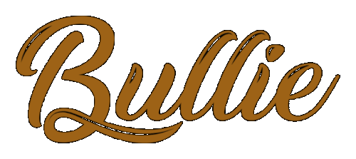 Bullie 12 4 2024.gif