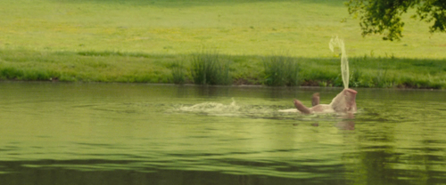 vlcsnap 2024 12 06 00h32m10s182.png