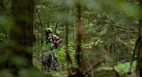 vlcsnap 2024 12 05 23h30m56s908.png