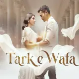 t143 tark e wafa