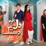 t141 dil pe dastak card