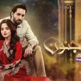 t159 rah e junoon card