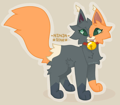 NinjaStar for Cammy Universe