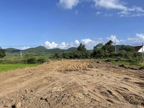 469343920 1310042456952541 6348346545082694202 n.jpg