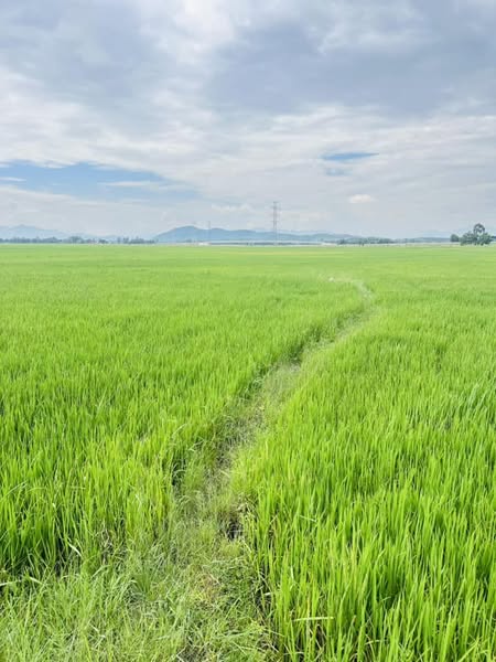 469287514 2051328525323088 4293973671667759058 n.jpg