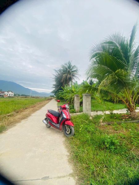 469040262 1922792954854151 1130947982156732208 n.jpg