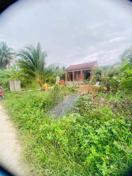 469039955 1922792928187487 2520958566835532919 n.jpg