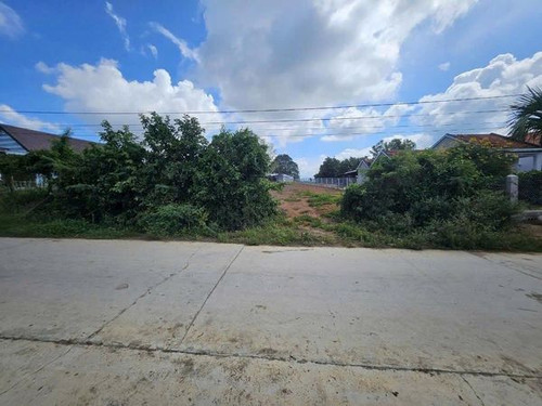 469354468 1922791744854272 5235595634062835535 n.jpg