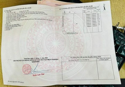 469358587 1999110077274900 355088981483145065 n.jpg