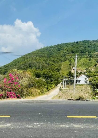 469504883 1675079989715634 4876286211033059110 n.jpg