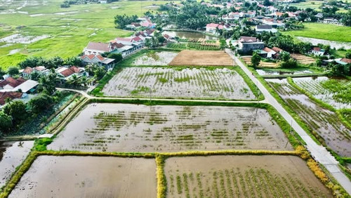 468959265 9255307177855230 6133542738932212176 n.jpg