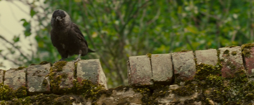 vlcsnap 2024 12 06 00h54m43s692.png