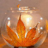 170x231 Leca Liscie.gif