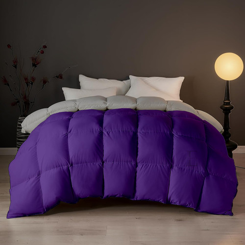 Purple Silver (7).jpg