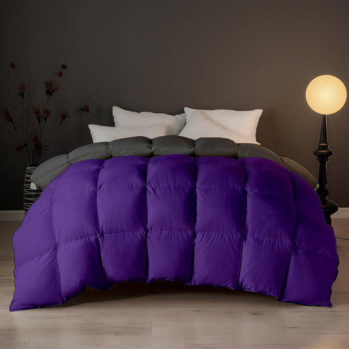 Purple Dark Grey (7).jpg