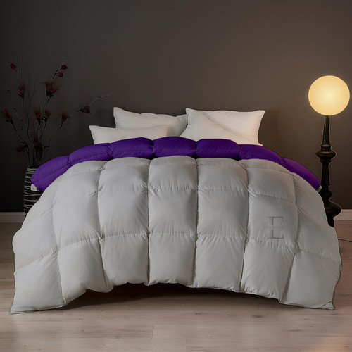 Purple Silver (8).jpg