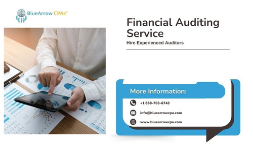 Financial Auditing Service (1).jpg
