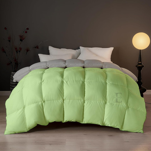 Lime Silver (7).jpg