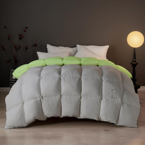 Lime Silver (8).jpg