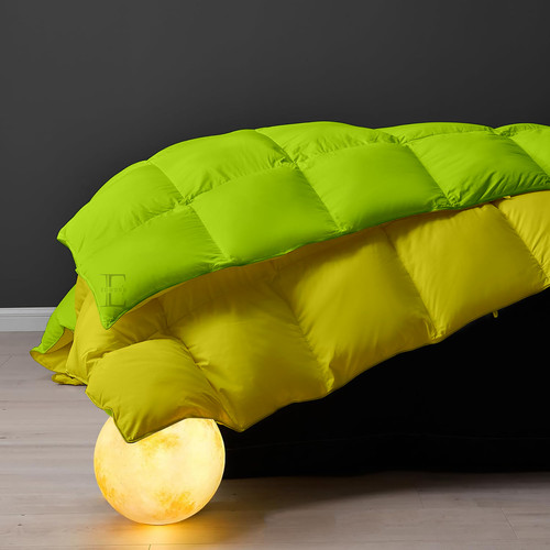 Parrot Green Venilla Yellow (5).jpg