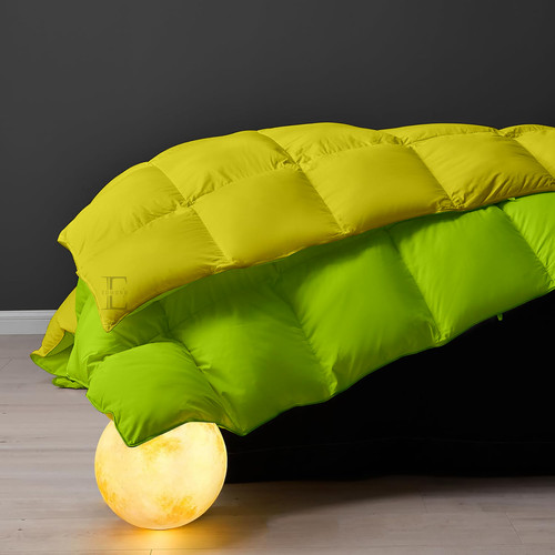 Parrot Green Venilla Yellow (6).jpg