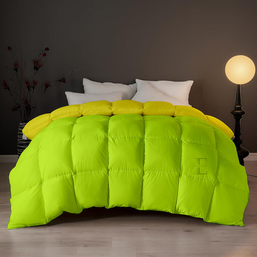 Parrot Green Venilla Yellow (8).jpg
