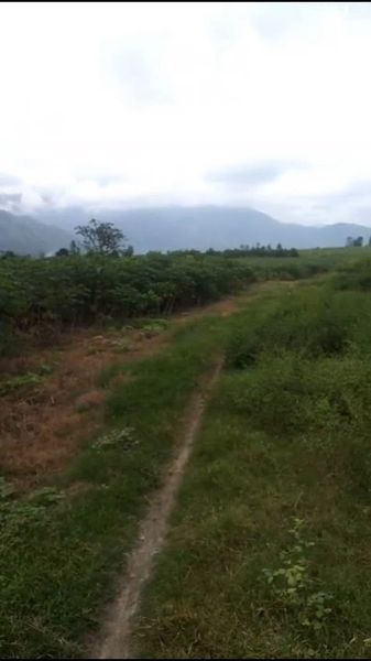 468865430 8818007441614005 4665396538059904560 n.jpg