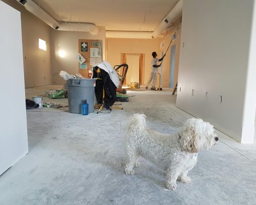 Best House cleaning service in Riverside.jpg