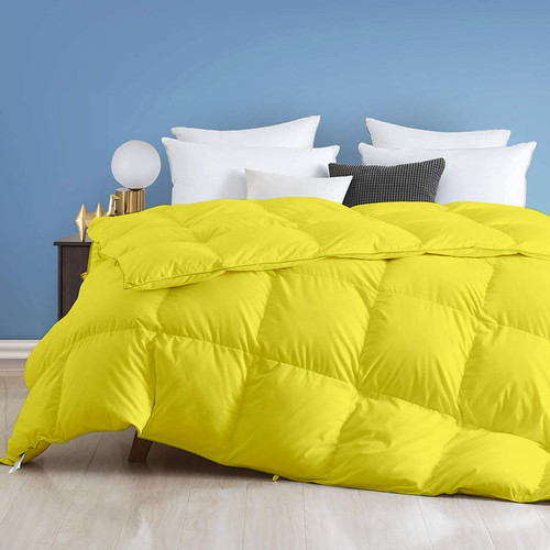 Venilla Yellow (1).jpg