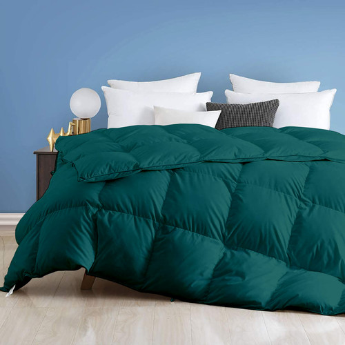 Teal (1).jpg
