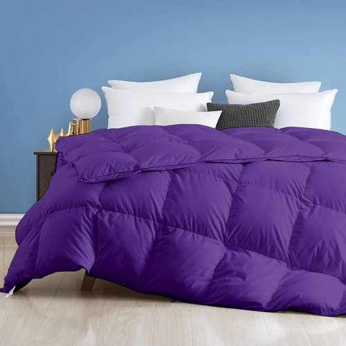 Purple (1).jpg