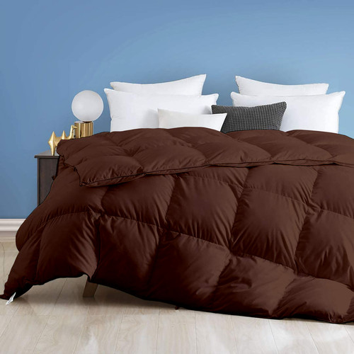 Brown (1).jpg