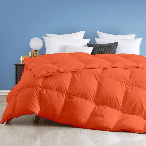 Orange (1).jpg