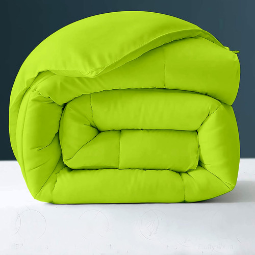 Parrot Green (2).jpg