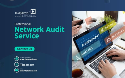 network audit service professional services.jpg