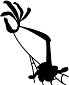 Layer 2.png