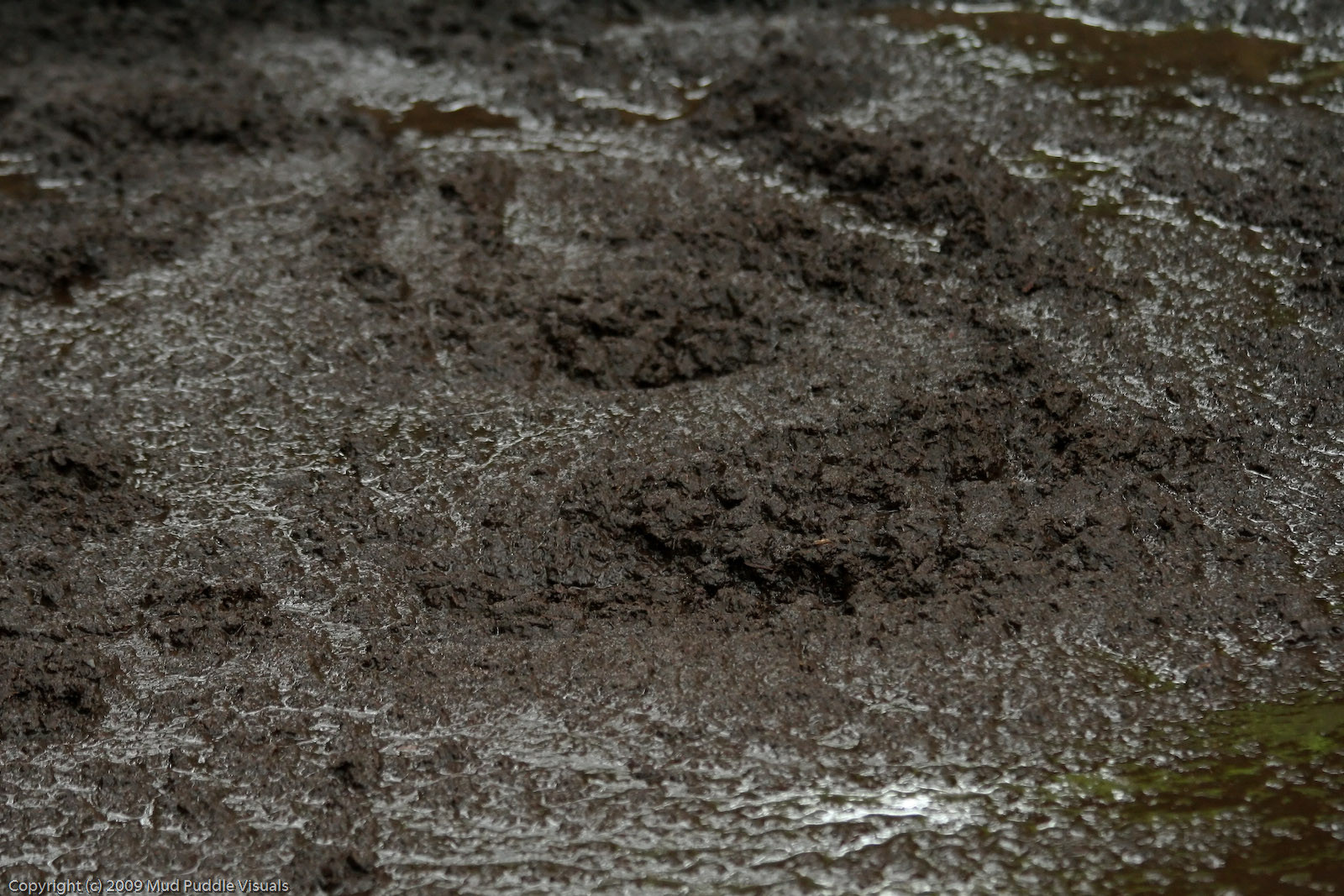 Quick Mud I wonder who's beneath this mud : r/quicksand