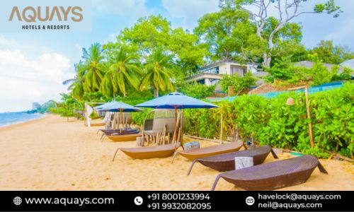 4 Top Specialties of the Best Beach Resorts in Neil Island.jpg