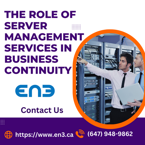 The Role Of Server Management Services In Business Continuity.png