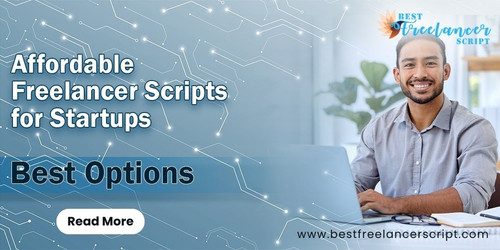 Affordable Freelancer Scripts for Startups: Best Options.jpg